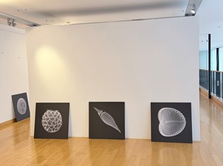 galerija12.JPG